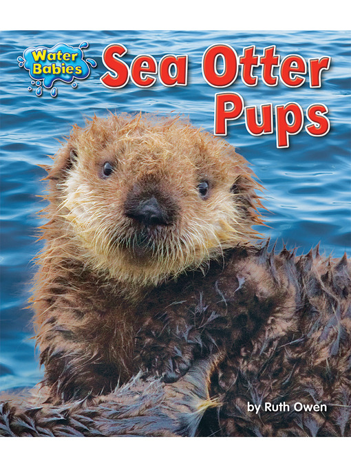 Cover image for Sea Otter Pups